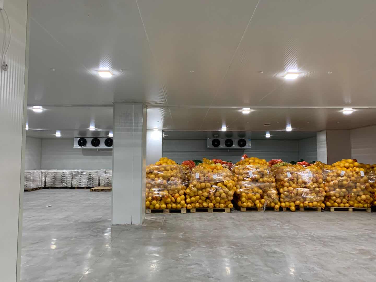 建一套農(nóng)產(chǎn)品蔬菜保鮮冷庫(kù)安裝需要多少錢(qián)? 建一套農(nóng)產(chǎn)品蔬菜保鮮冷庫(kù)安裝需要多少錢(qián)?