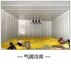 氣調(diào)冷庫(kù).jpg 氣調(diào)冷庫(kù).jpg