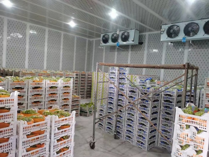 氣調(diào)冷庫(kù)