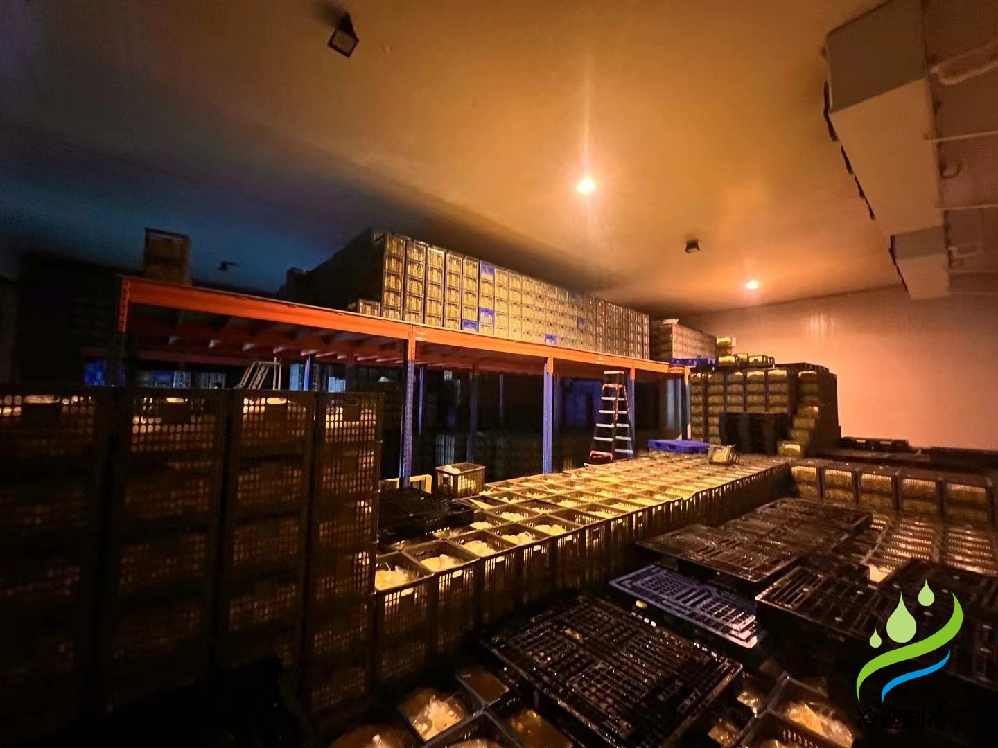 建造一個1000噸禽蛋類冷藏庫的成本是多少？