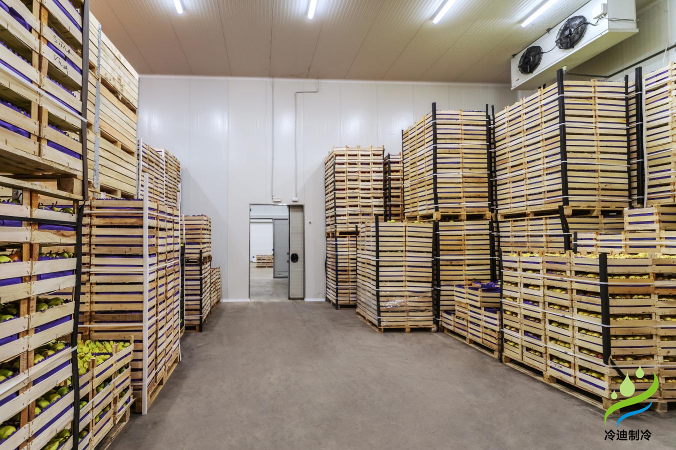 不同規模保鮮冷庫造價榜單，保鮮冷庫耗電量表